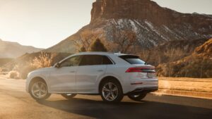 Audi Q8 rear