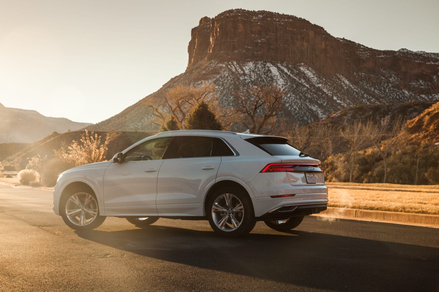 Audi Q8 rear