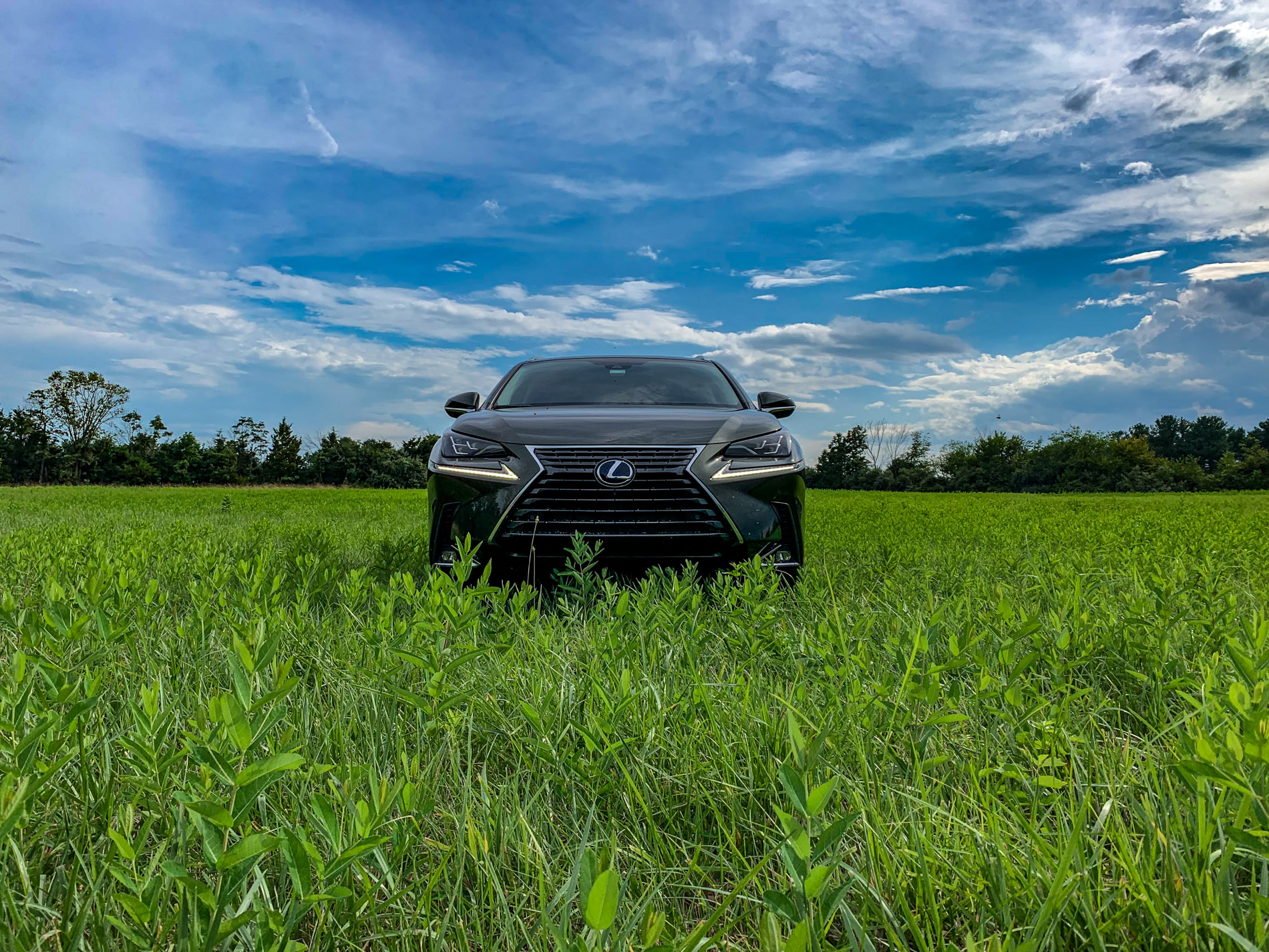 2021 Lexus NX 300h
