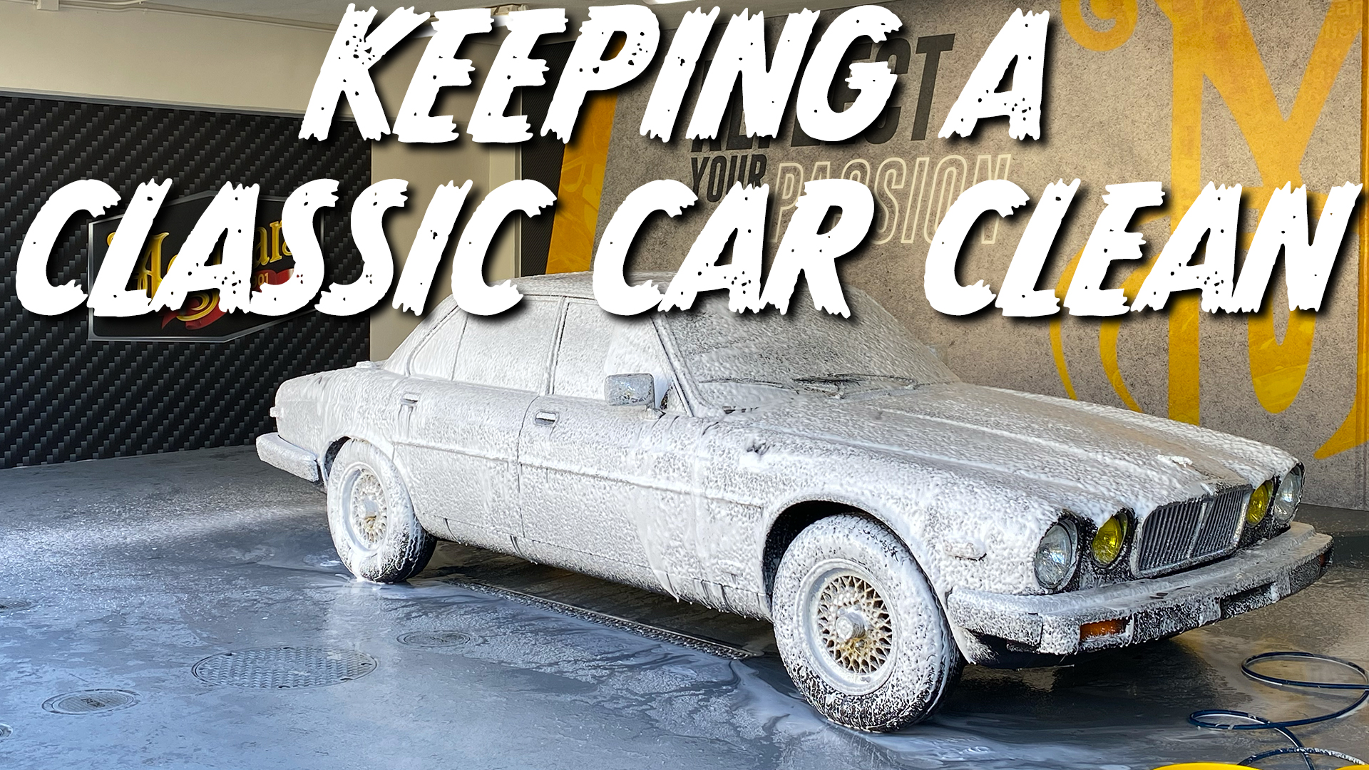 jaguar xj6 clean